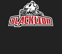 Lanxi Blacklion Sporting Goods Co., Ltd. -Professional production Mx helmet,Flip-up helmet,Full face helmet,Half helmet etc.